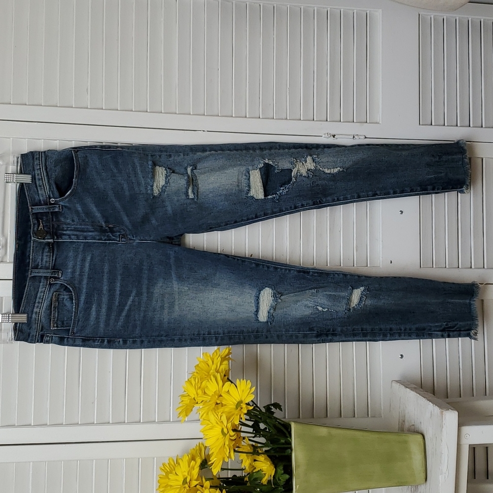 BDG Urban Outfitters Size 27 W Crop Twig High Rise Distressed Jeans.